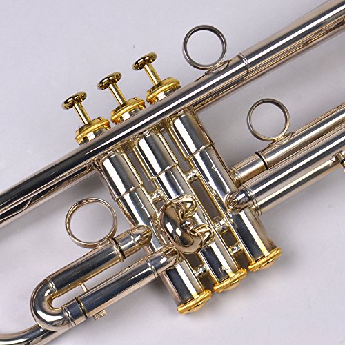 XO エックスオー SD-GBS トランペット B♭ マウスピース付き XO SD-GBS トランペット B♭ ゴールドブラス 銀メッキ仕上げ